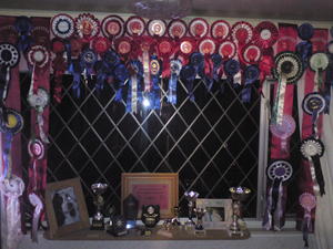 some of our amazing ribbons and trophies