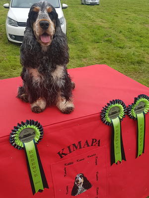 Kibble at Leeds champ show