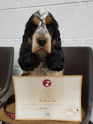 Kiantu gaining her good citizen certificate