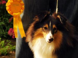 Aiden with his reward