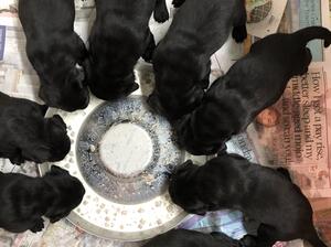 Feeding time