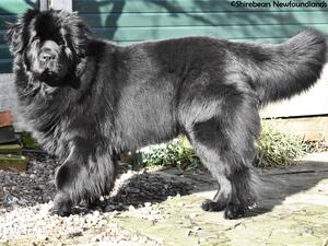 Elenska aged 16 months
