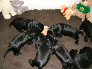 3 weeks & started on solids