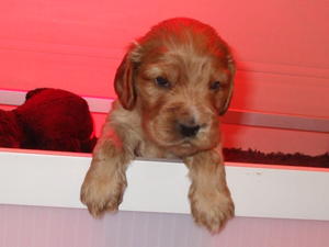 Nearly 4 weeks and trying to escape