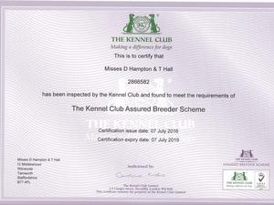 ABS certificate from the Kennel Club
