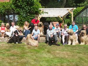Puppy Parties