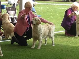 Gwyngala Gentle Touch