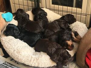 A bundle of fun