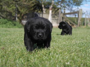 First days out