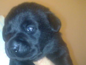 Marys 2 weeks