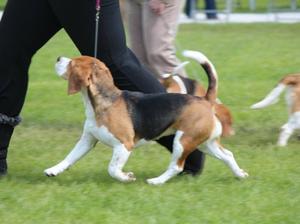 Delilah at B'ham Nat 2012