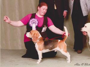 Samson winning BIS at West Bromwich & Wednesbury