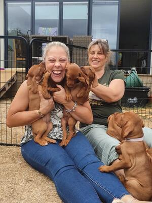 Our happy litter x10