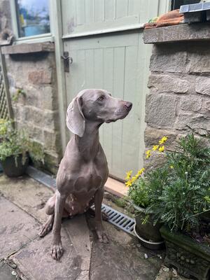 Pearl at 2 years
