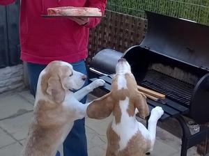 Is dinner ready yet? Porthos & George
