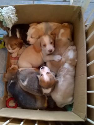 Family cuddle...
