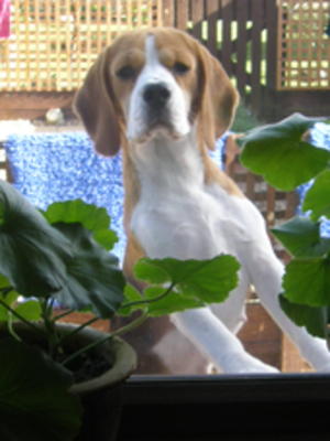 WHAT ARE YOU LOOKING AT?