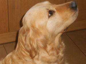 Maddy