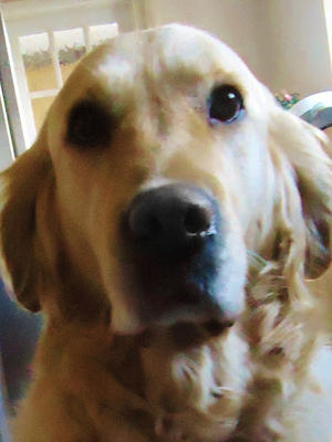 Maddy