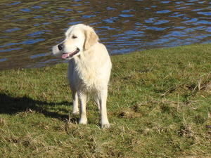 Heidi on holiday in the Lake District
