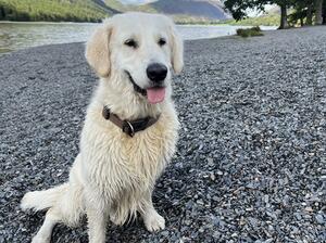 on holiday in the Lake District