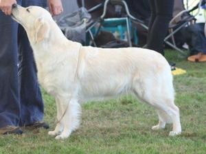 Heidi at Richmond Ch Show