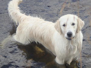 Freya, the water baby