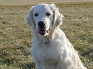 Freya aged 5 months
