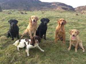 Storm, Finlay, Raven, Brec, Coe & Kim
