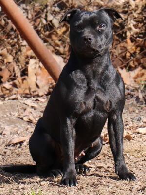 Lola