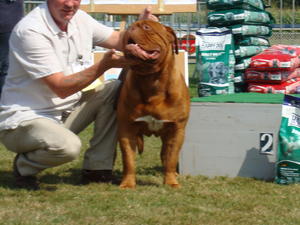 Kelticknight Georgieboy French Club Match