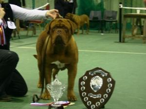 Best Pup in Show