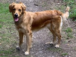 Tiffin-Mum to be