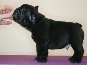 just 5 weeks old