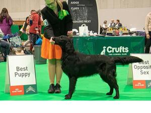 Bill Crufts 2024