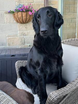 Dot relaxing at home