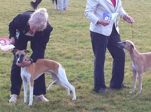 Getting his 1st place certificate