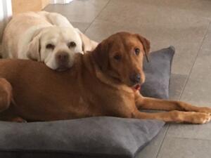 Me & my buddy Saffy