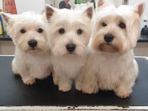 Mabel with Mum and Sister