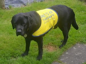 Daisy's son George in his Pat Dog uniform