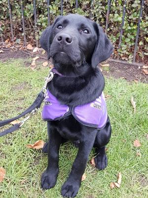 One of Jess's sons in his Canine Partners jacket