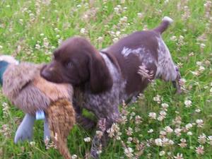 IT'S NEVER TOO EARLY