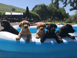 First swimming lessons
