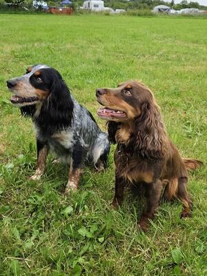 Tinker & Theo