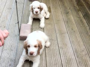 Brother and sister together