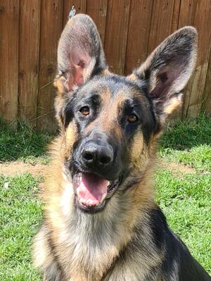 Xena
