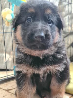 Eyes are open!