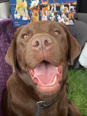 Annie at her first ever show!