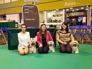 Mia at Crufts 2017