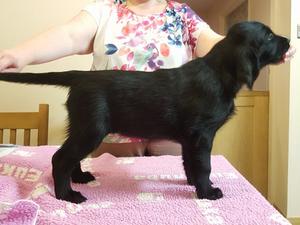 Elphaba at 8 weeks
